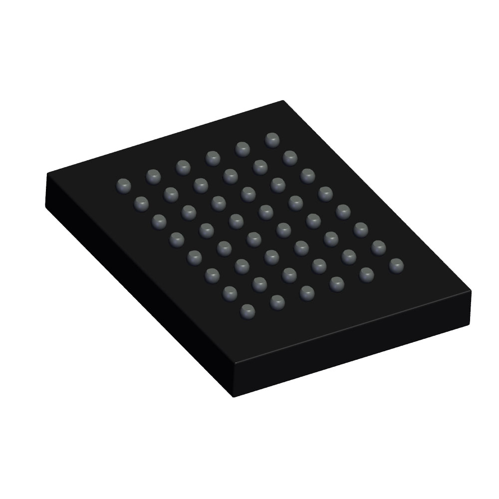 R1WV6416RBG-7SR#B0