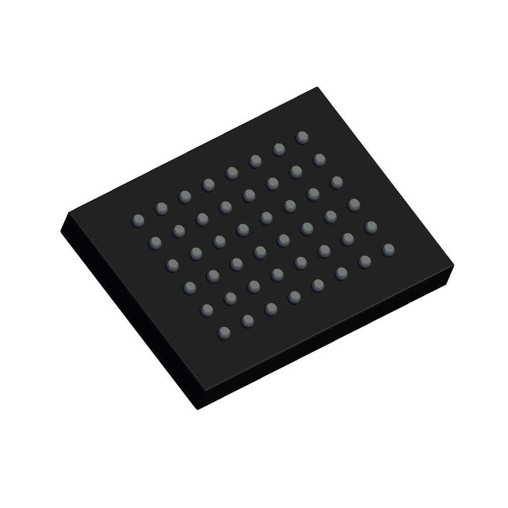 R1WV6416RBG-5SR#B0