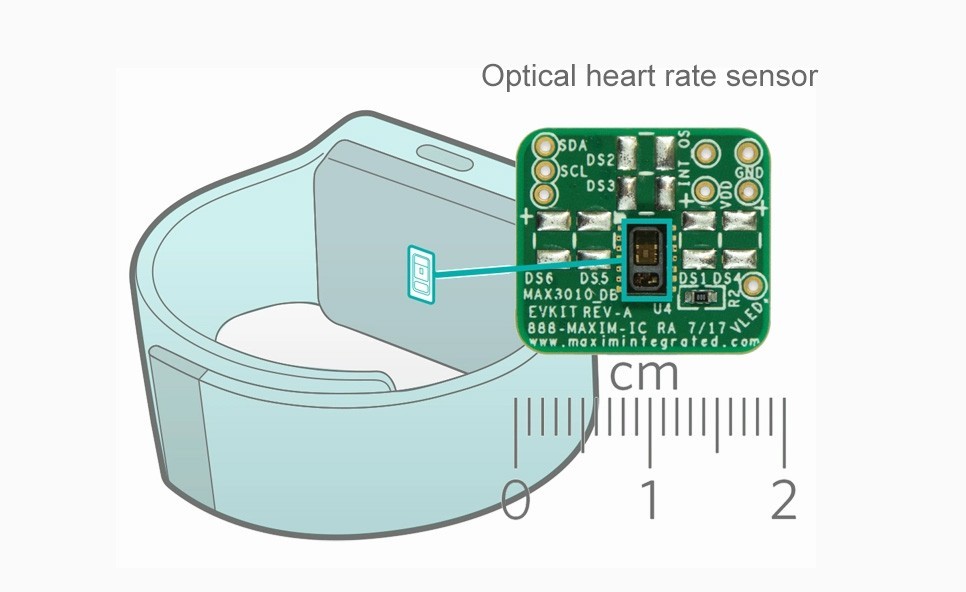 Optical heart rate measurement principle